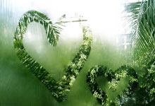 青島西海岸：比較中泰球員，泰國人技術細膩，中國球員對抗力強.