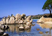 足總杯第3輪諾丁漢森林1-0阿森納 格拉班替補登場完成絕殺.